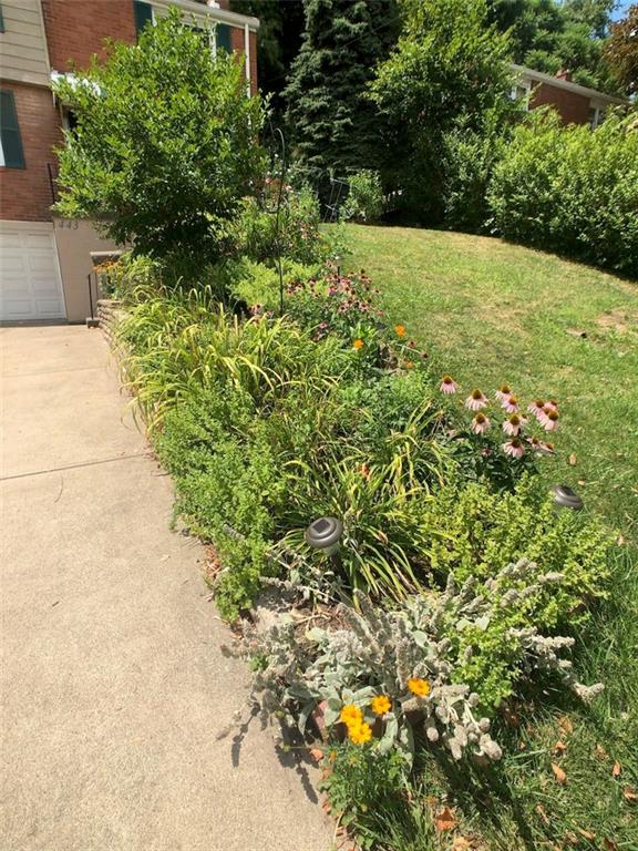 443 Filmore Road Pittsburgh, PA 15221 - Photo 2 of 22 Front Garden