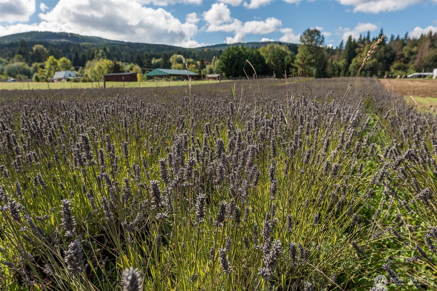 162 River Run Road Sequim, WA 98382 - Photo 29 of 39