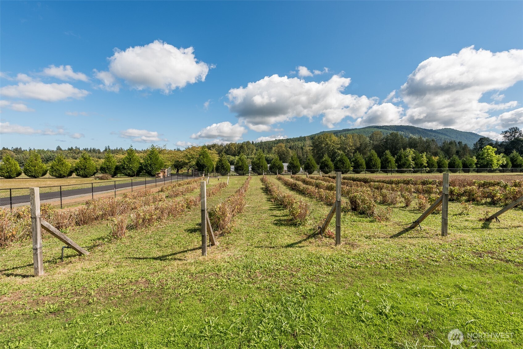 162 River Run Road Sequim, WA 98382 - Photo 30 of 39