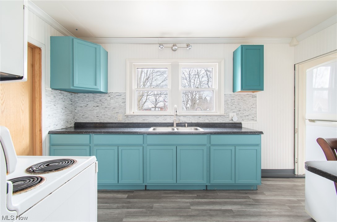 204 South Raccoon Road Youngstown, OH 44515 - Photo 11 of 25 Kitchen with tasteful backsplash, hardwood / wood-style flooring, blue cabinets, and sink