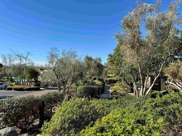 a view of a town with large trees