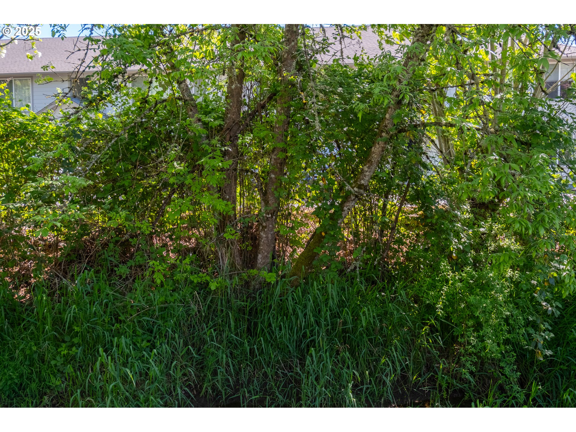 1652 Wiltsey Road Southeast, Unit 27 Salem, OR 97306 - Photo 38 of 39 Gallery Image 38