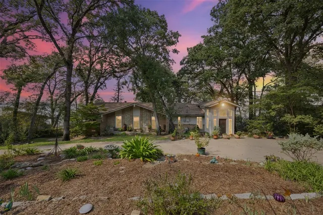 a view of yard with tree s