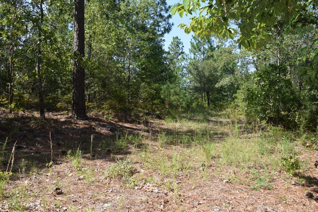 Lot 5 Fire Tower Road Aiken, SC 29803 - Photo 1 of 4