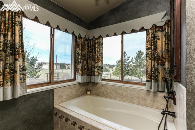 42745 Pearson Ranch Loop Parker, CO 80138 - Photo 18 of 36 Master Bath Soaking Tub