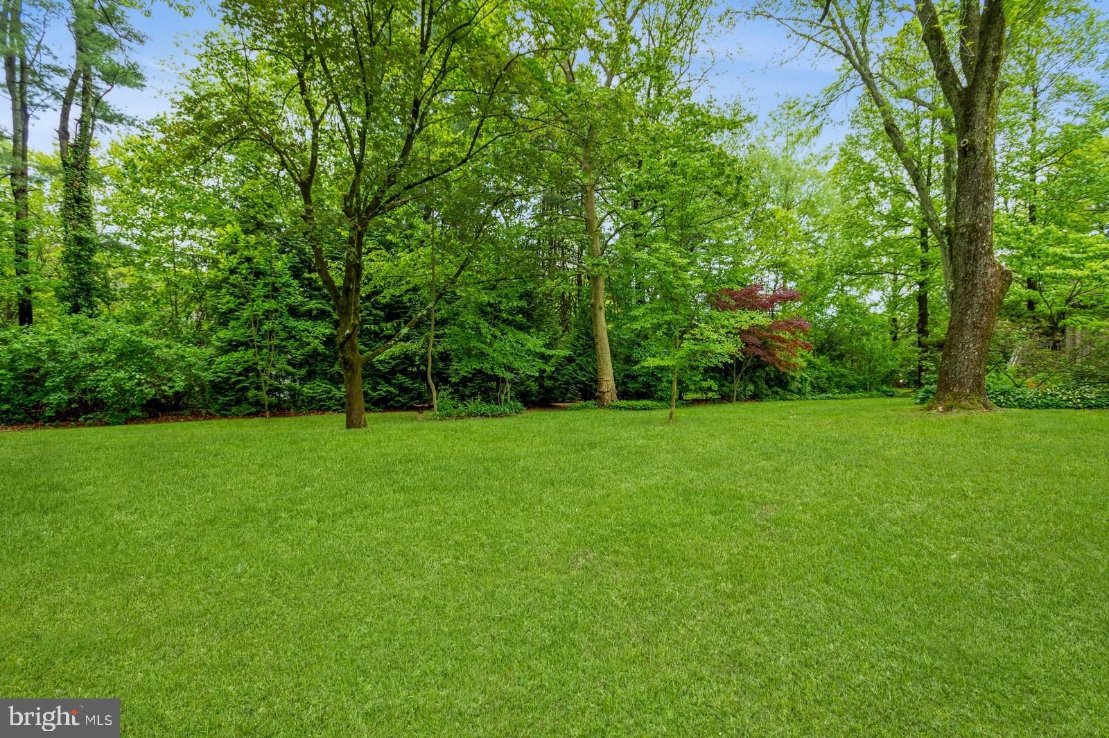 81 Copper Mine Road Princeton, NJ 08540 - Photo 40 of 44 a view of a field of grass and trees