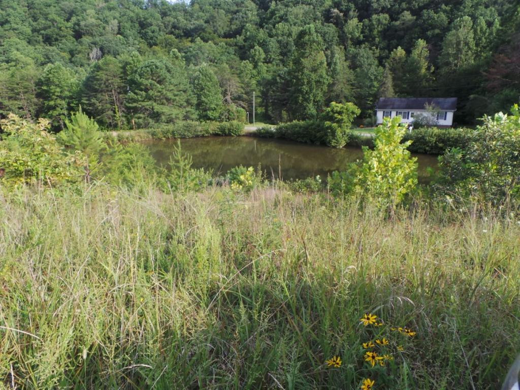 0 High Rock Road Rogersville, TN 37857 - Photo 11 of 20 Photo 11
