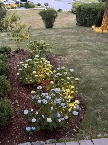 $1,049,900 | 17 Wakefield Street, Reading, MA 01867