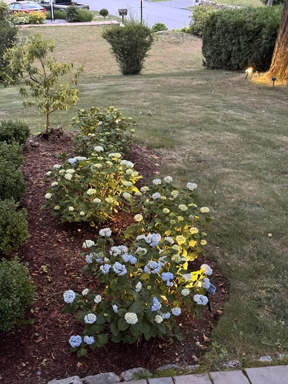 17 Wakefield Street Reading, MA 01867 - Photo 33 of 38