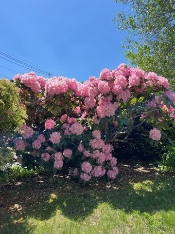 $1,049,900 | 17 Wakefield Street, Reading, MA 01867