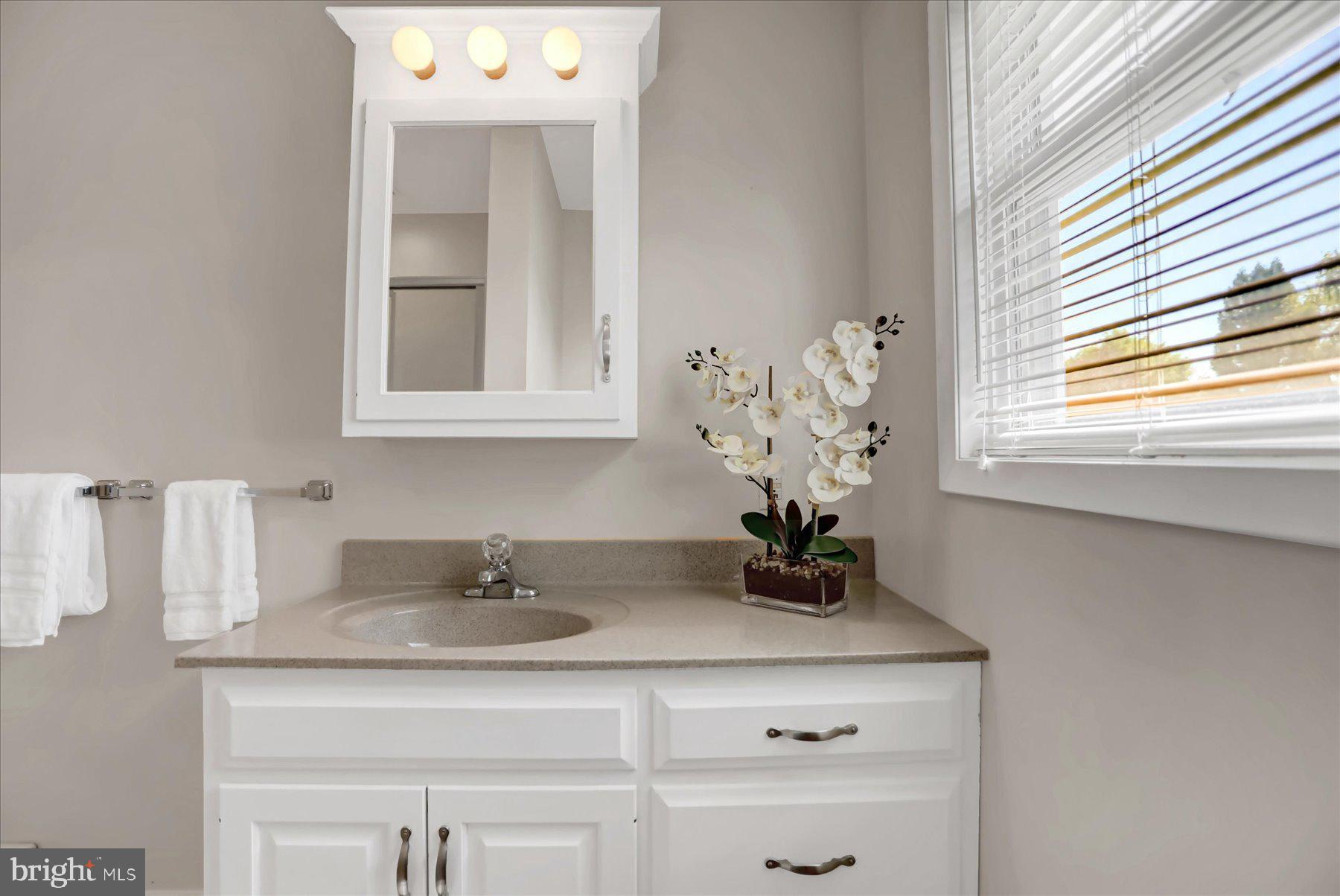 4287 Old Us-322 Reedsville, PA 17084 - Photo 14 of 33 Serene bathroom with elegant touches.