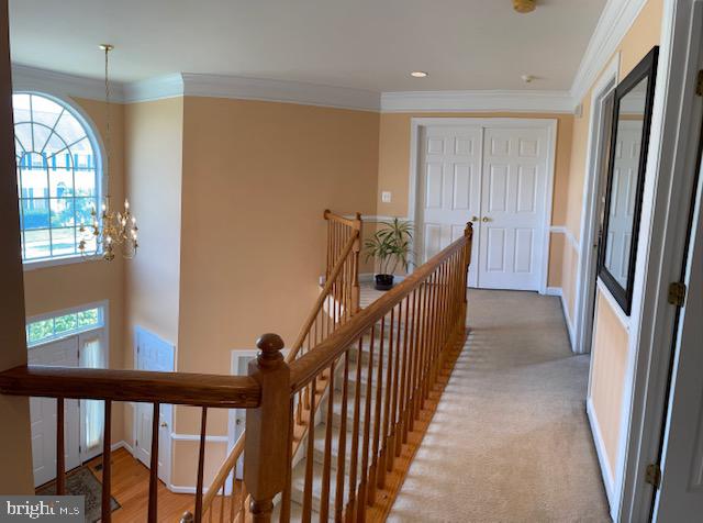 1355 Destrier Street Ranson, WV 25438 - Photo 26 of 52