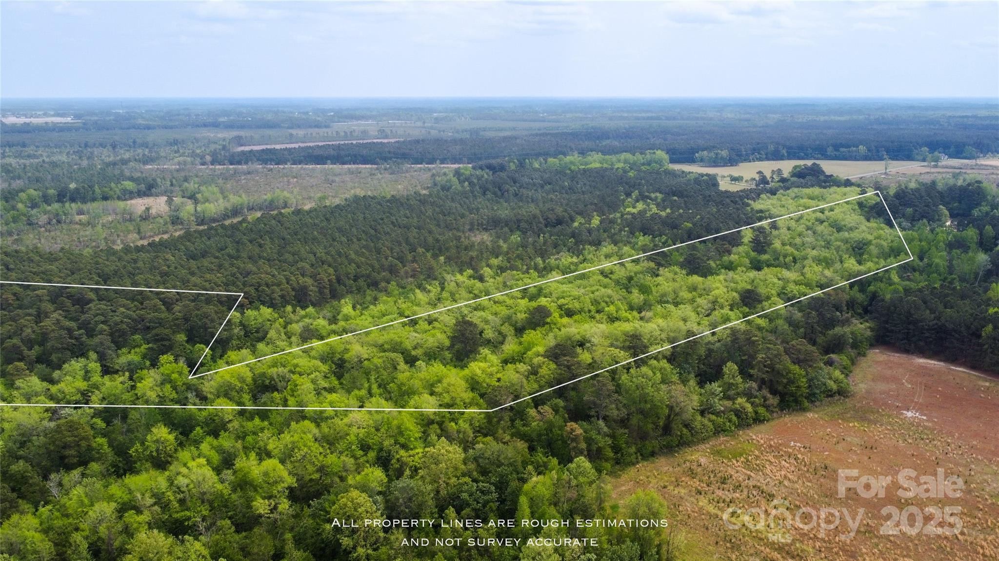 4749 Draughon Road Stedman, NC 28391 - Photo 15 of 22 a view of a city with lush green forest