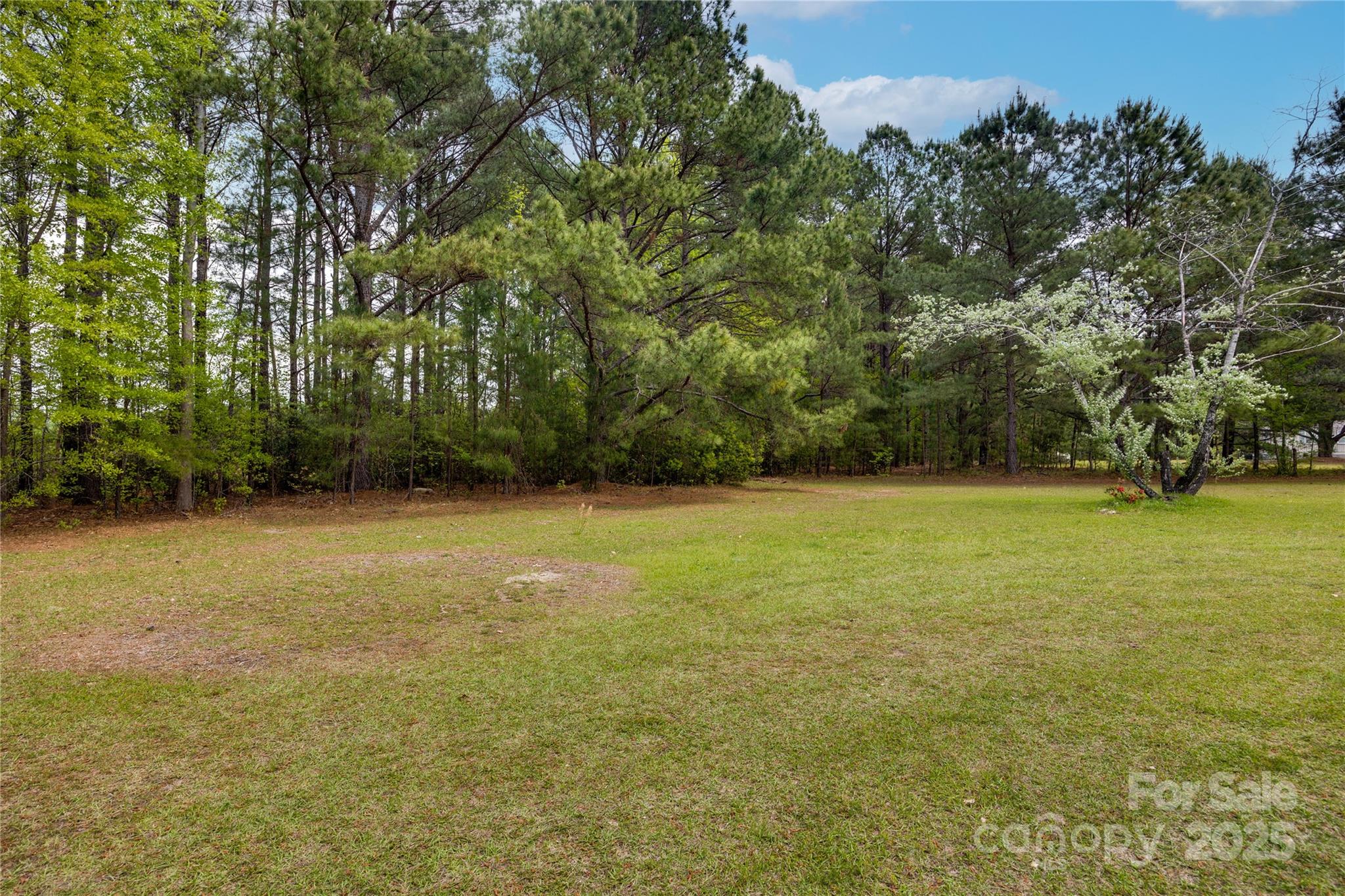 4749 Draughon Road Stedman, NC 28391 - Photo 21 of 22 a view of a yard with a trees