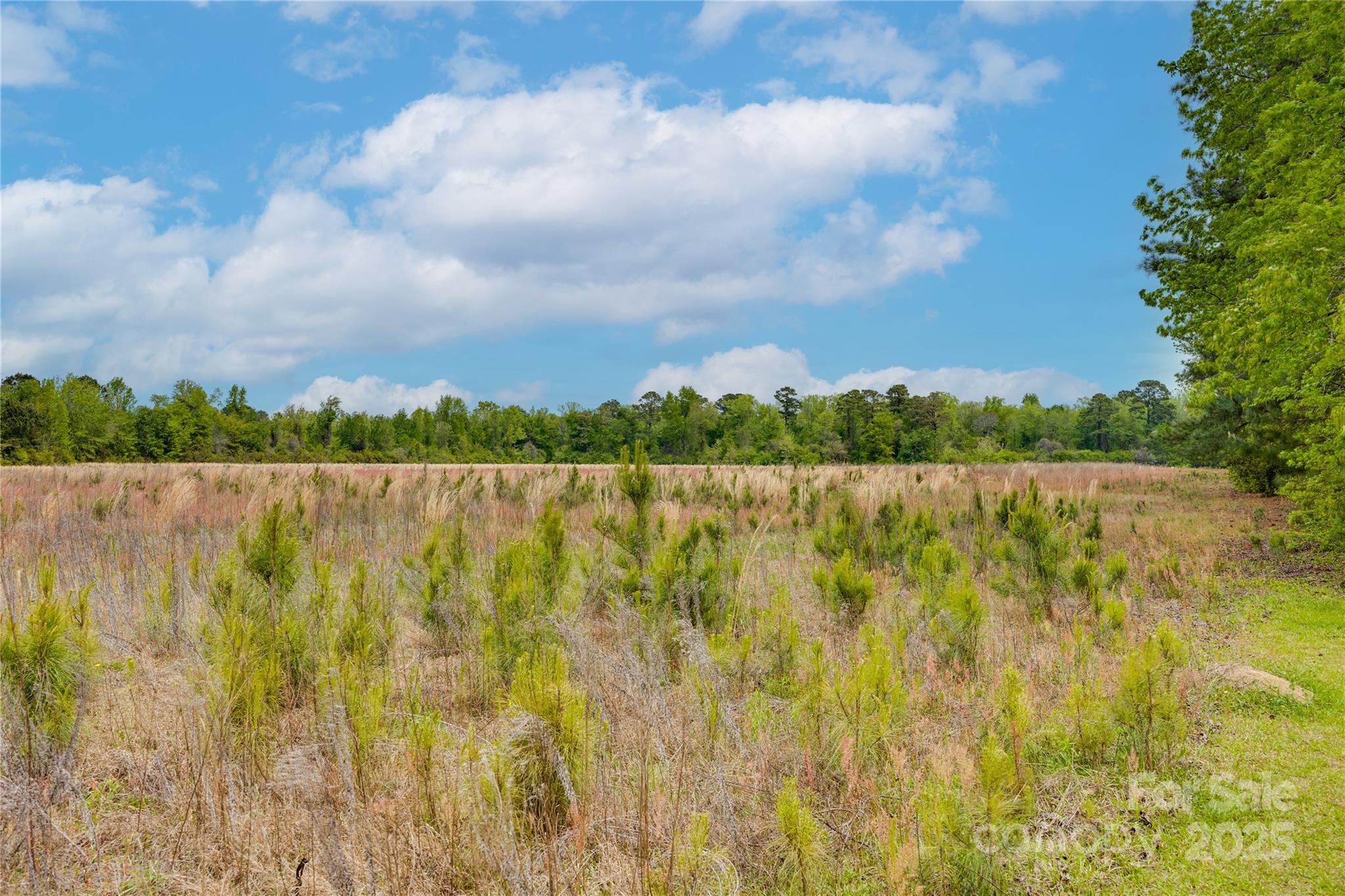 4749 Draughon Road Stedman, NC 28391 - Photo 22 of 22 a view of a lake with houses in the back
