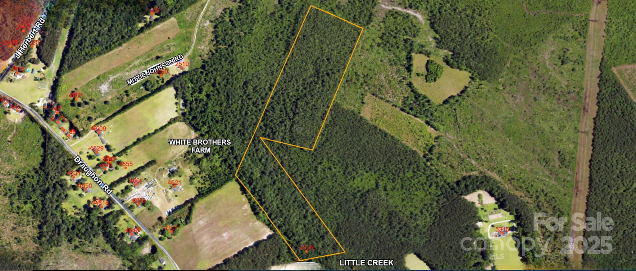 4749 Draughon Road Stedman, NC 28391 - Photo 5 of 22 a picture of a tree