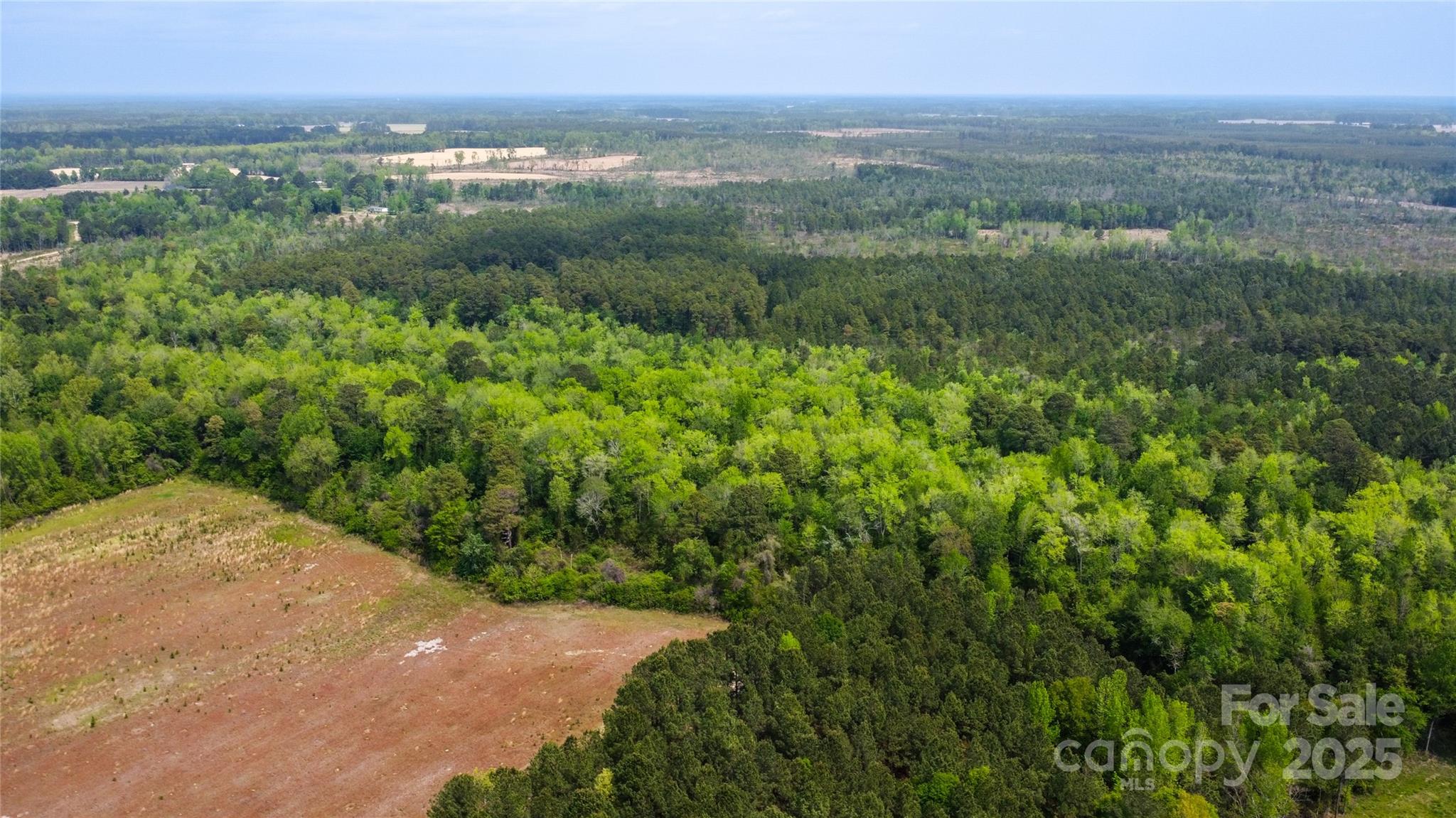 4749 Draughon Road Stedman, NC 28391 - Photo 6 of 22 a view of a city with lush green forest