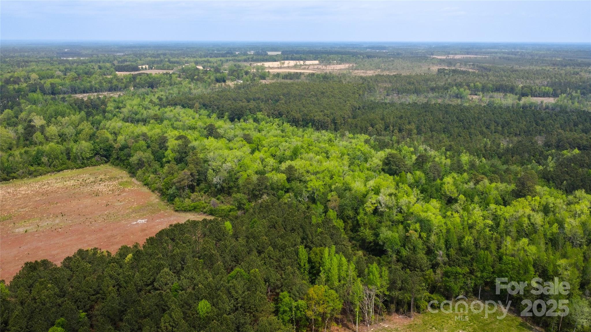 4749 Draughon Road Stedman, NC 28391 - Photo 7 of 22 a view of a city with lush green forest