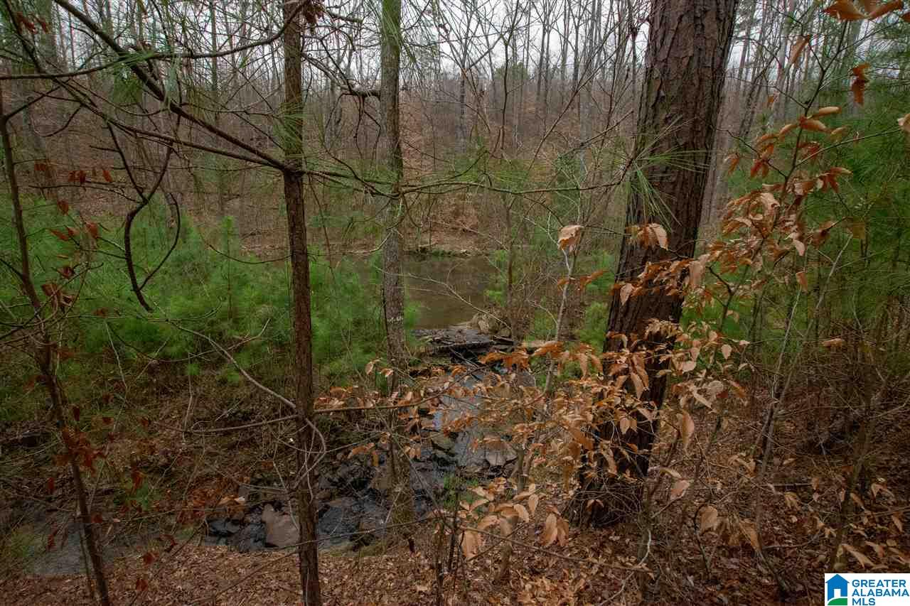1055 Ranger Trail Warrior, AL 35180 - Photo 17 of 32
