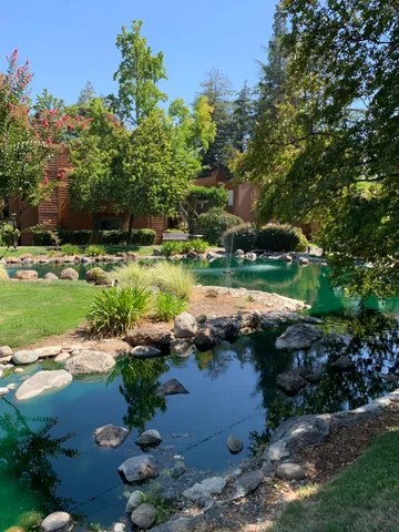 a view of a street with a small yard