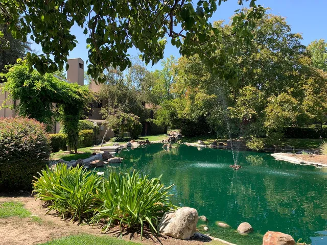 a car parked on the side of the road