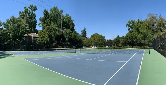 a view of a park with large trees