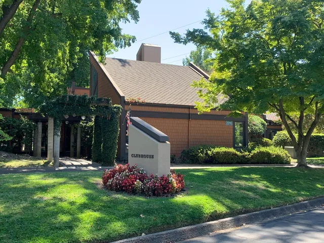 a backyard of a house with plants and large tree