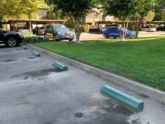 a white bench sitting in the middle of a park
