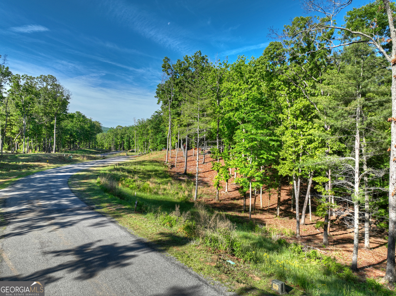Lot 41 Ridge Drive Morganton, GA 30560 - Photo 31 of 34