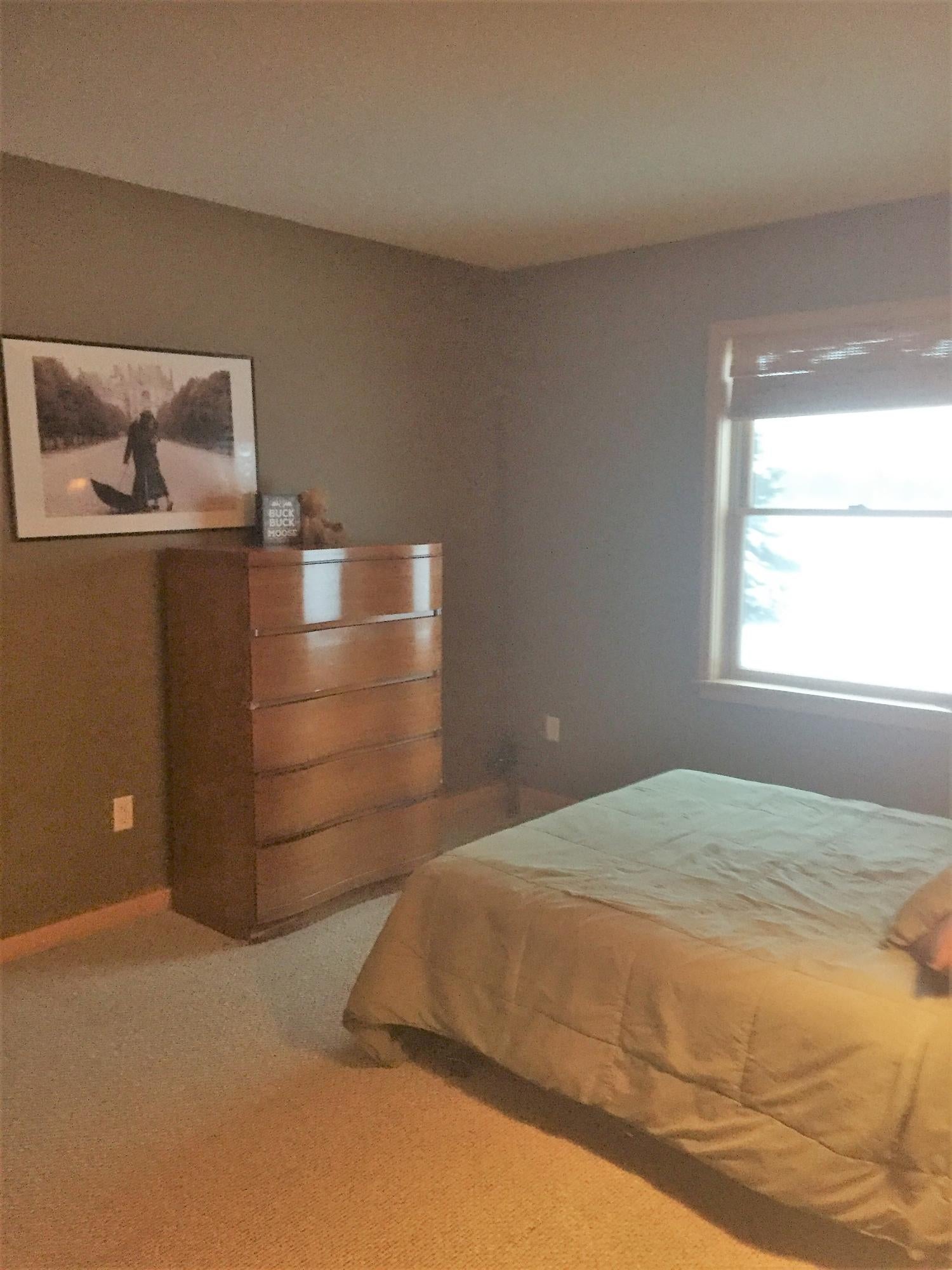 6748 South Piche Side Road Brimley, MI 49715 - Photo 18 of 25 Gallery Image 18