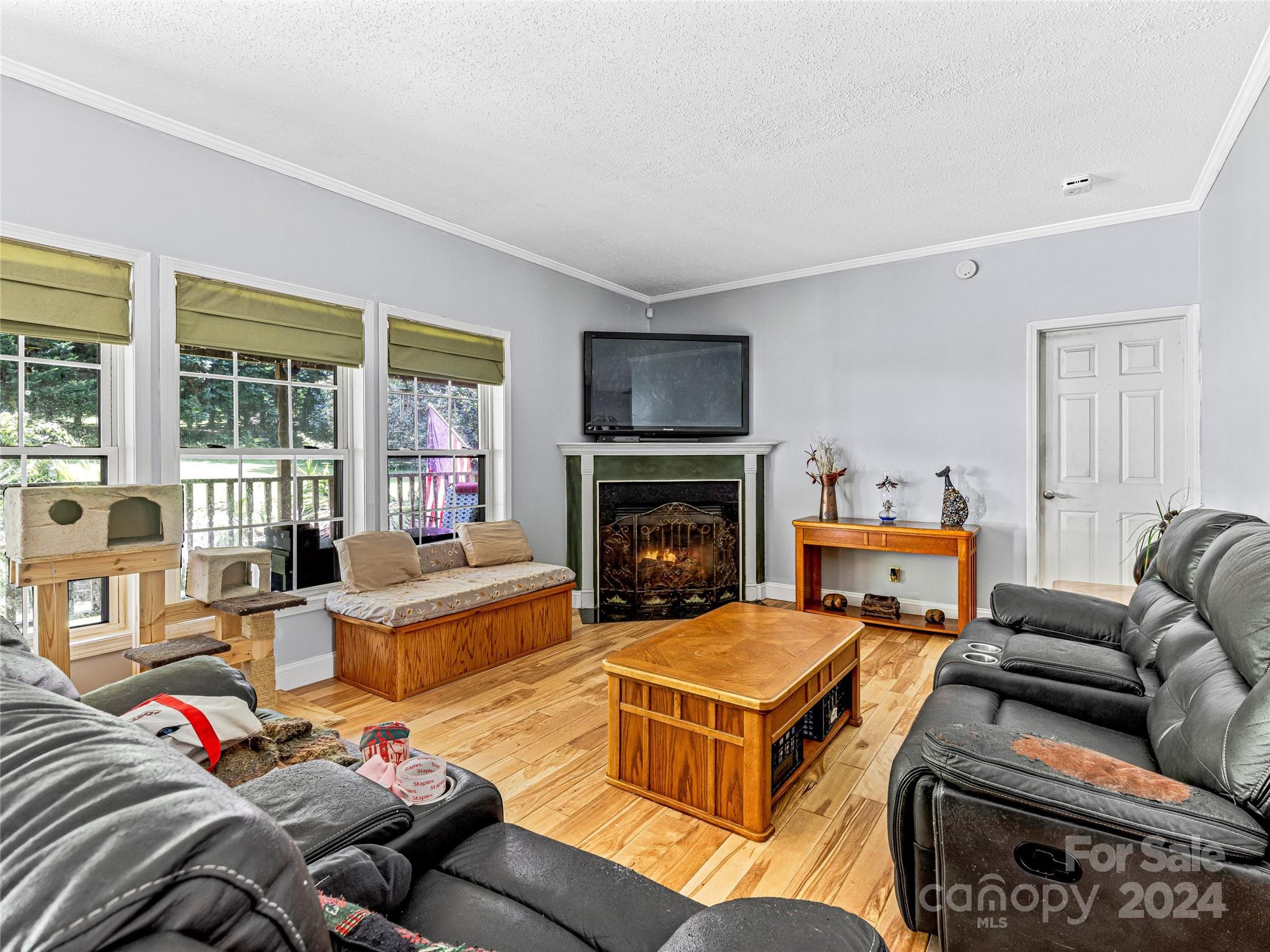 441 Stepp Road Hendersonville, NC 28792 - Photo 6 of 27