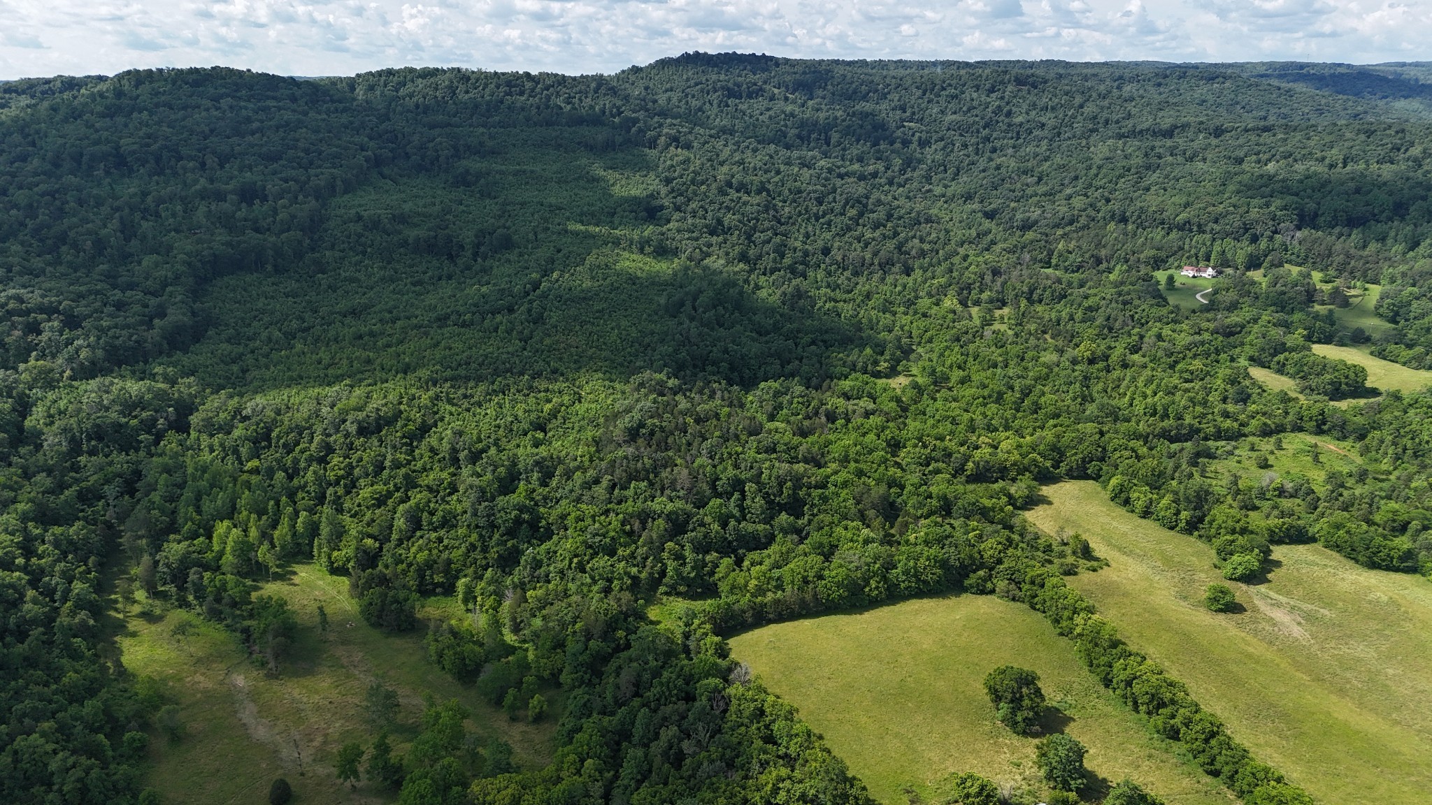 0 Yates Mountain Road Sparta, TN 38583 - Photo 8 of 29 Gallery Image 8