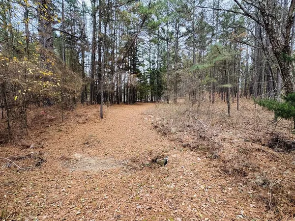 a view of open space with trees
