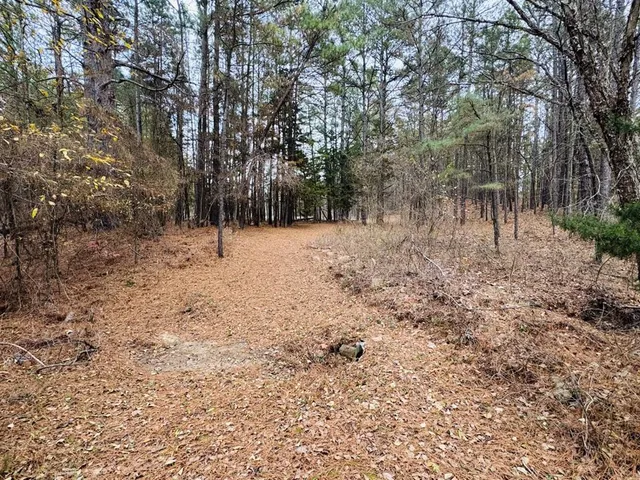 a view of open space with trees