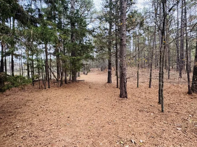 a backyard of a house with trees and snow