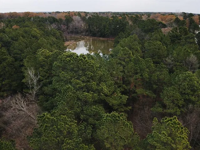 a view of a lake in middle of forest