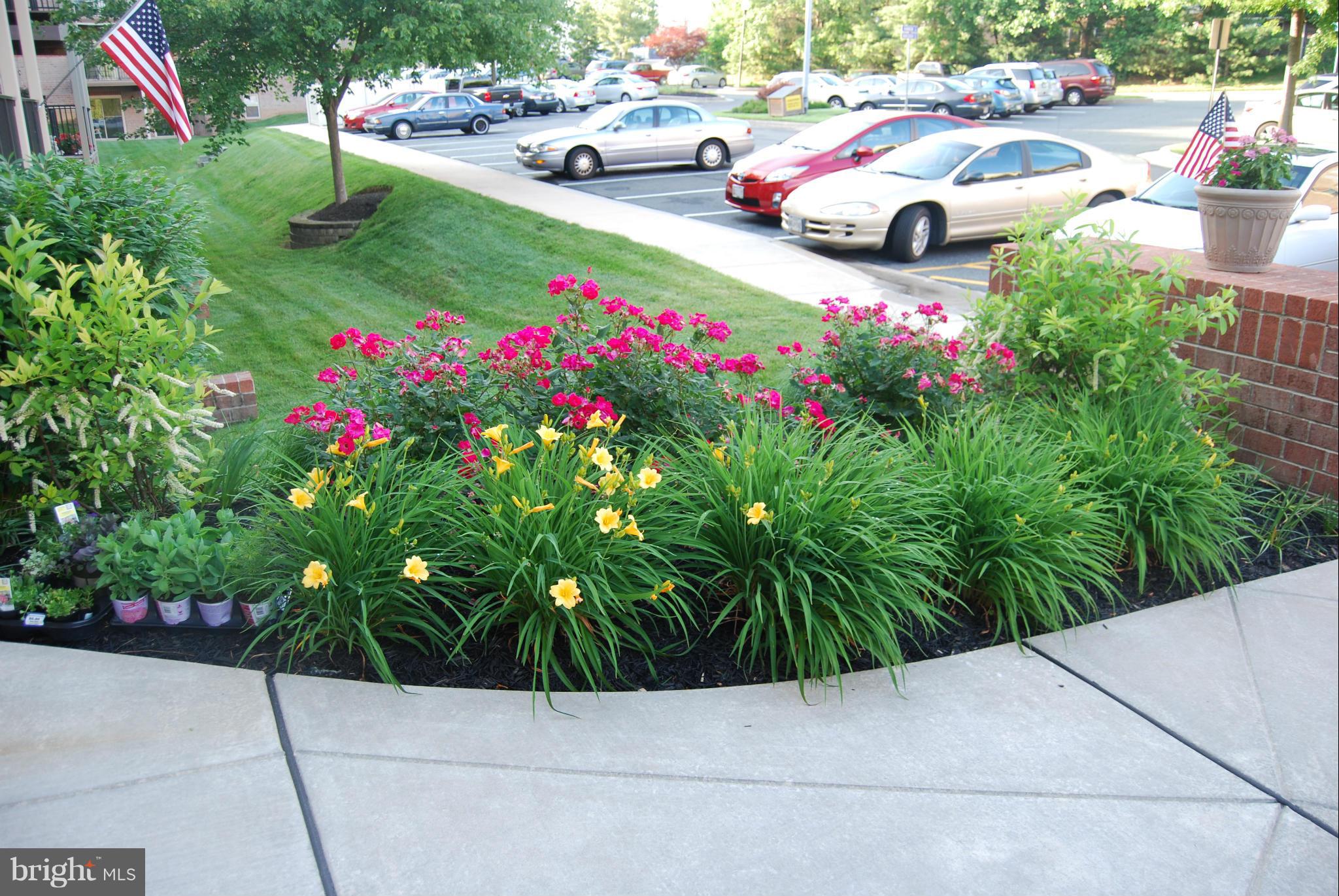 3901 Darleigh Road, Unit B Nottingham, MD 21236 - Photo 4 of 29 Main Entry Landscaping