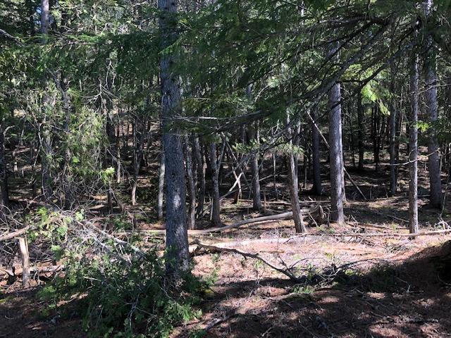0 Mcdonald Road Parkman, ME 04443 - Photo 4 of 5 Casillas 4