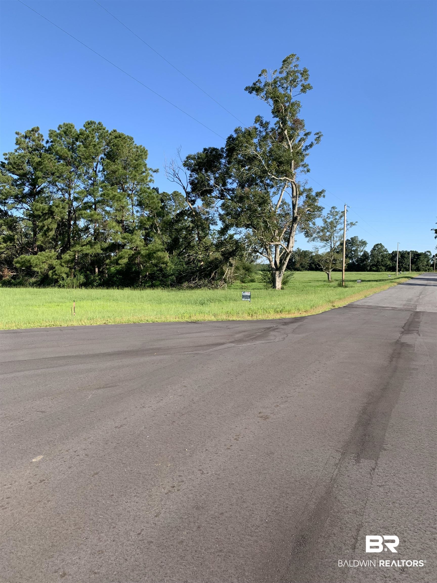 Lot 11 Highway 98 Elberta, AL 36530 - Photo 5 of 6