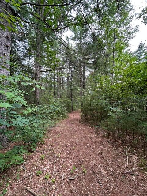2165 East Cherry Creek Road Fairview, MI 48621 - Photo 39 of 83 Gallery Image 39