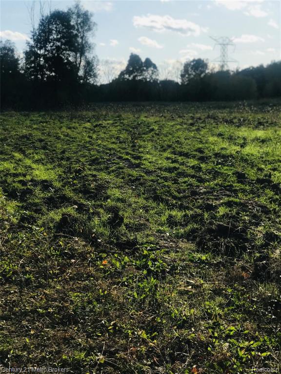 Parcel J Brocker Road Goodrich, MI 48438 - Photo 3 of 6