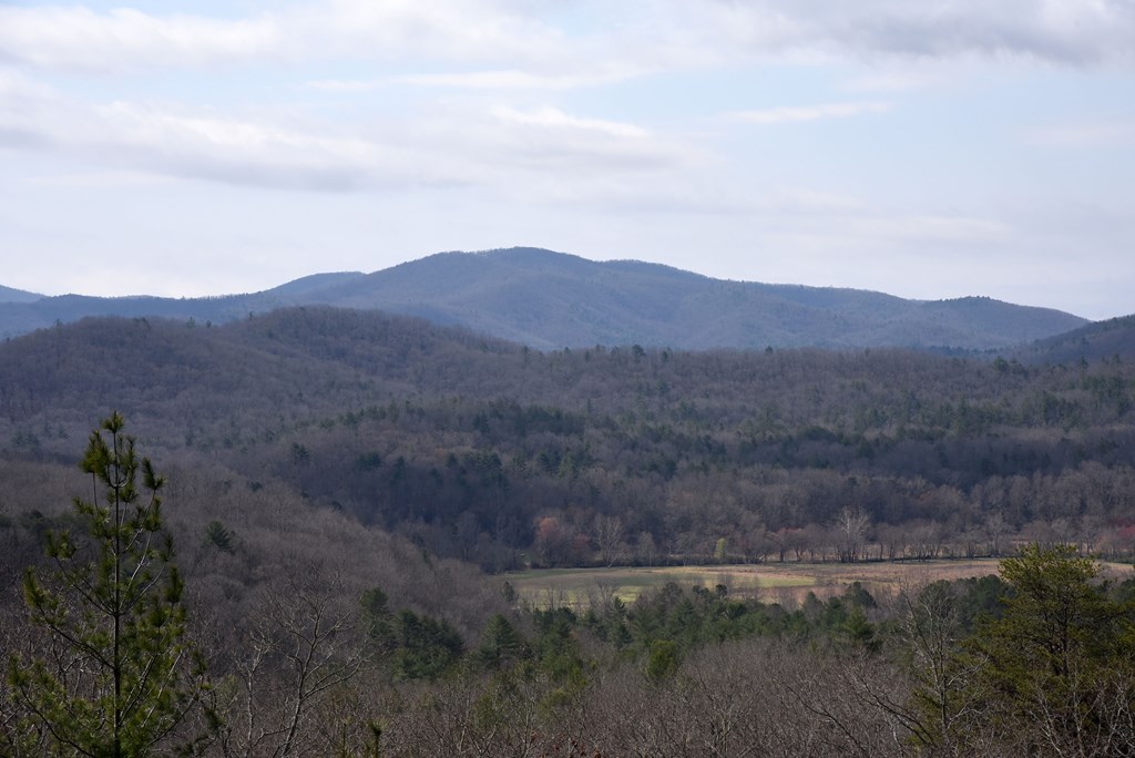 365 Aska Frst Trail Blue Ridge, GA 30513 - Photo 16 of 64 Gallery Image 16