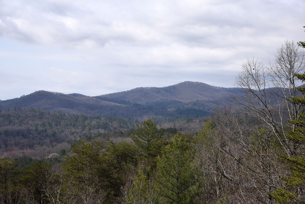 365 Aska Frst Trail Blue Ridge, GA 30513 - Photo 17 of 64 Gallery Image 17