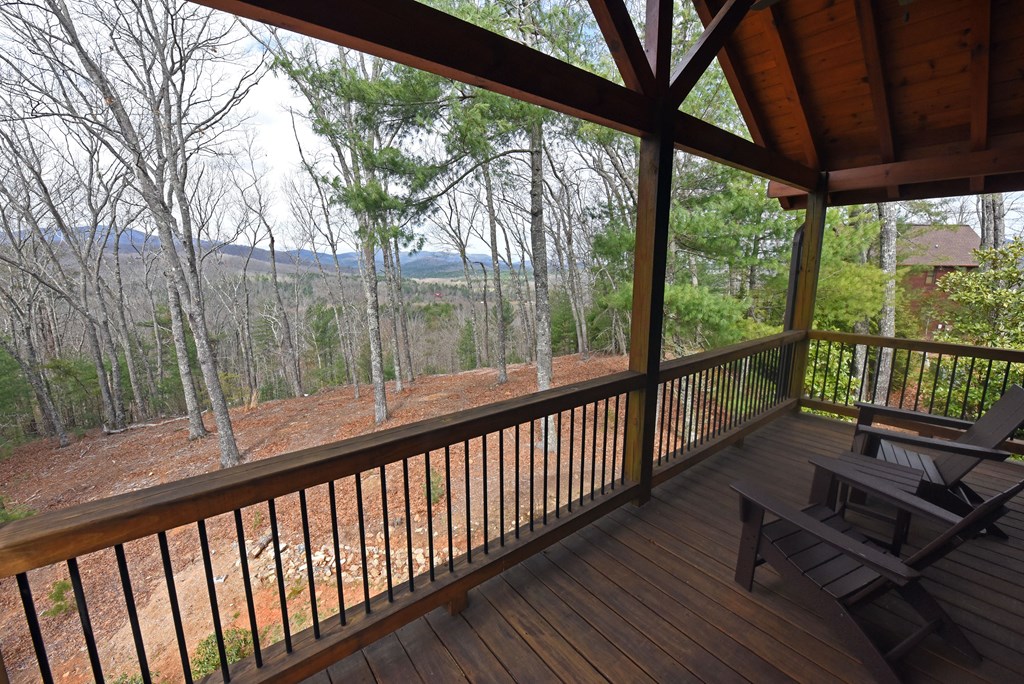 365 Aska Frst Trail Blue Ridge, GA 30513 - Photo 48 of 64 Gallery Image 48