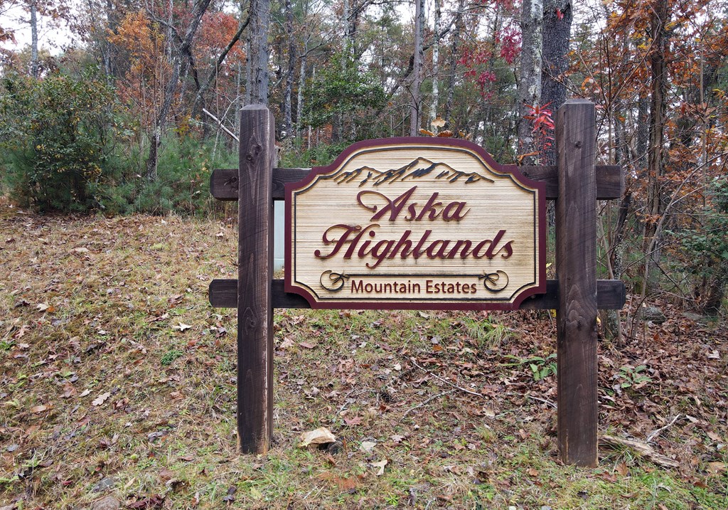 365 Aska Frst Trail Blue Ridge, GA 30513 - Photo 63 of 64 Gallery Image 63