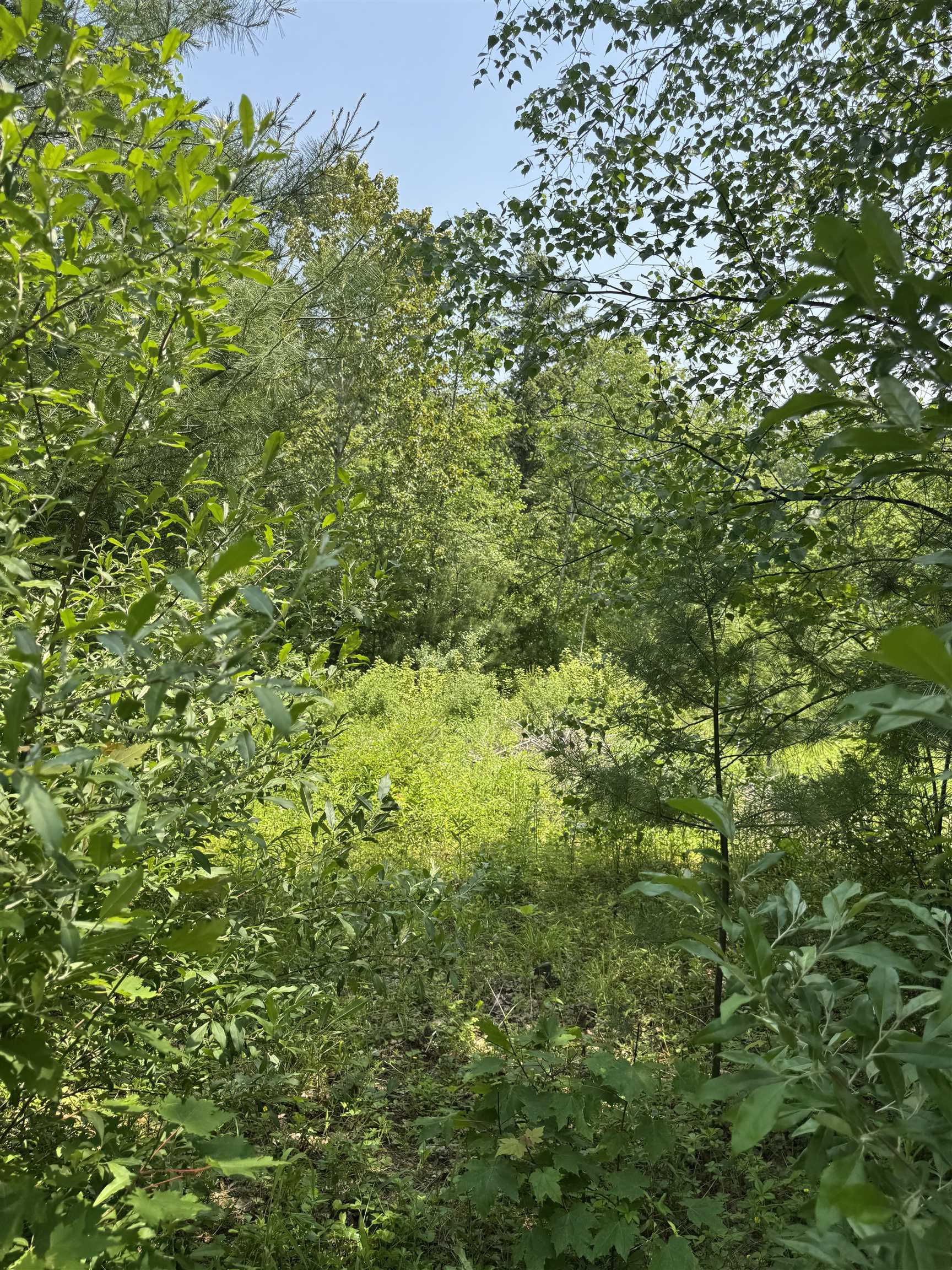 3 Brookside Drive Grantham, NH 03753 - Photo 11 of 11