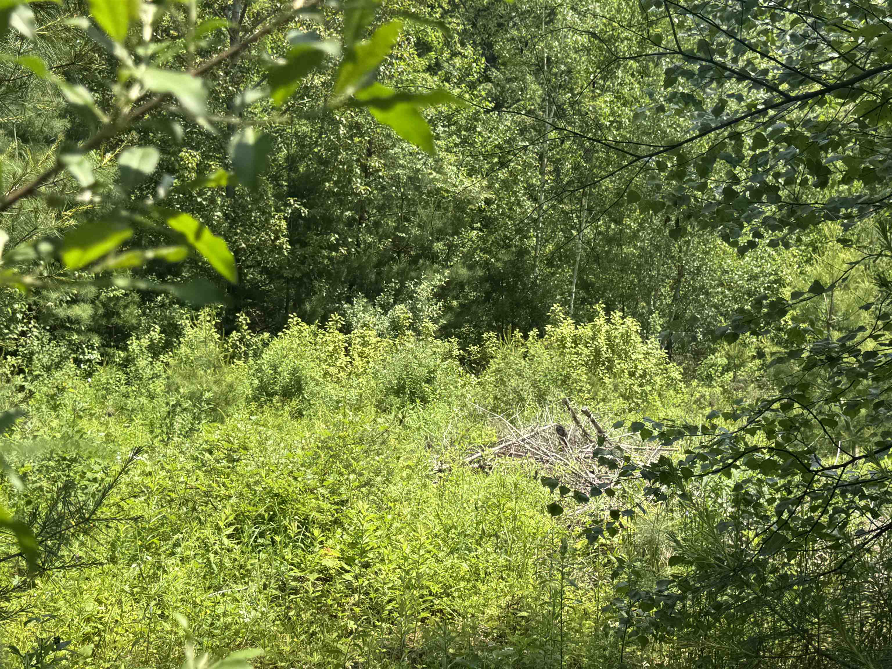 3 Brookside Drive Grantham, NH 03753 - Photo 7 of 11