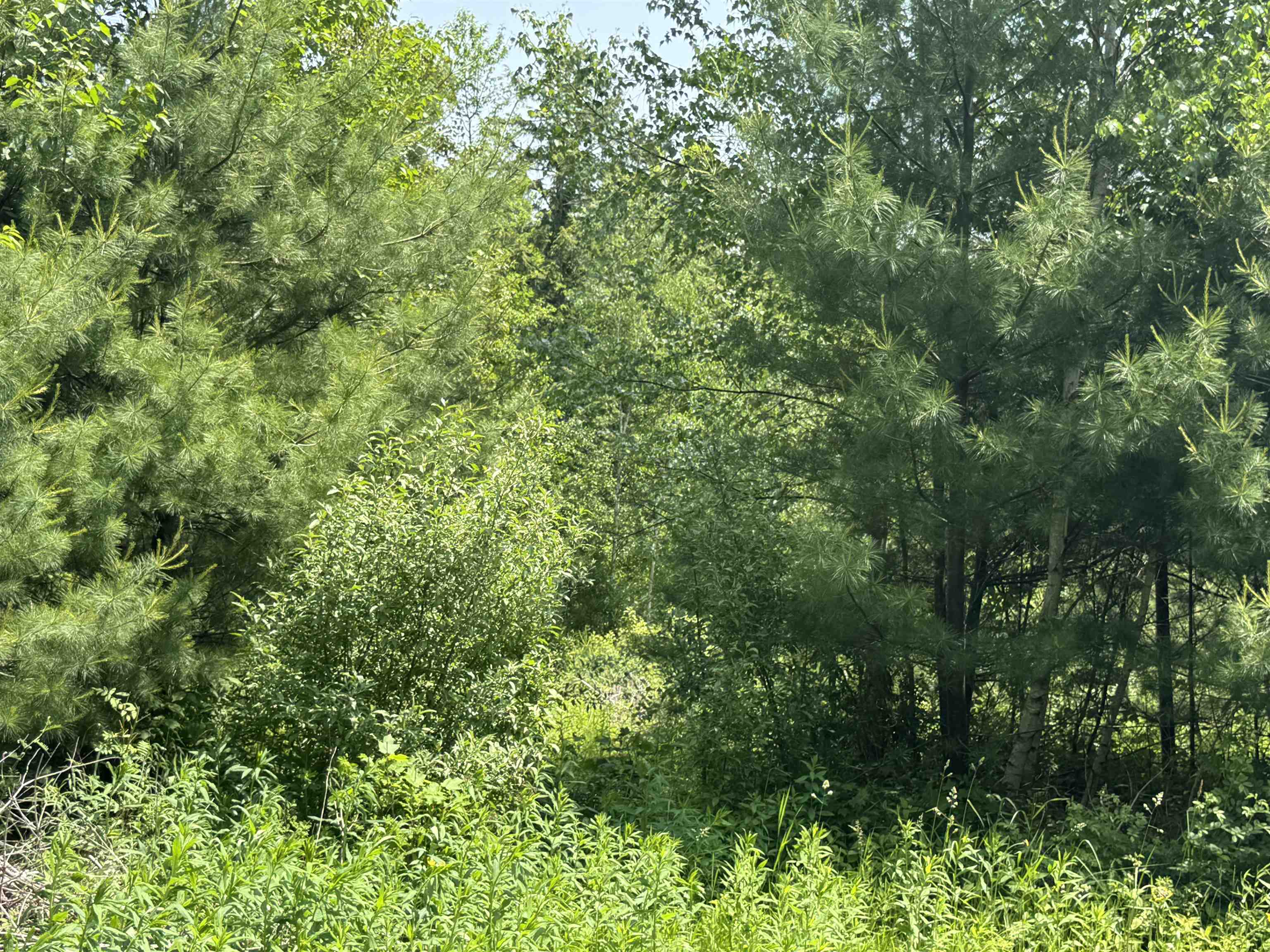 3 Brookside Drive Grantham, NH 03753 - Photo 9 of 11