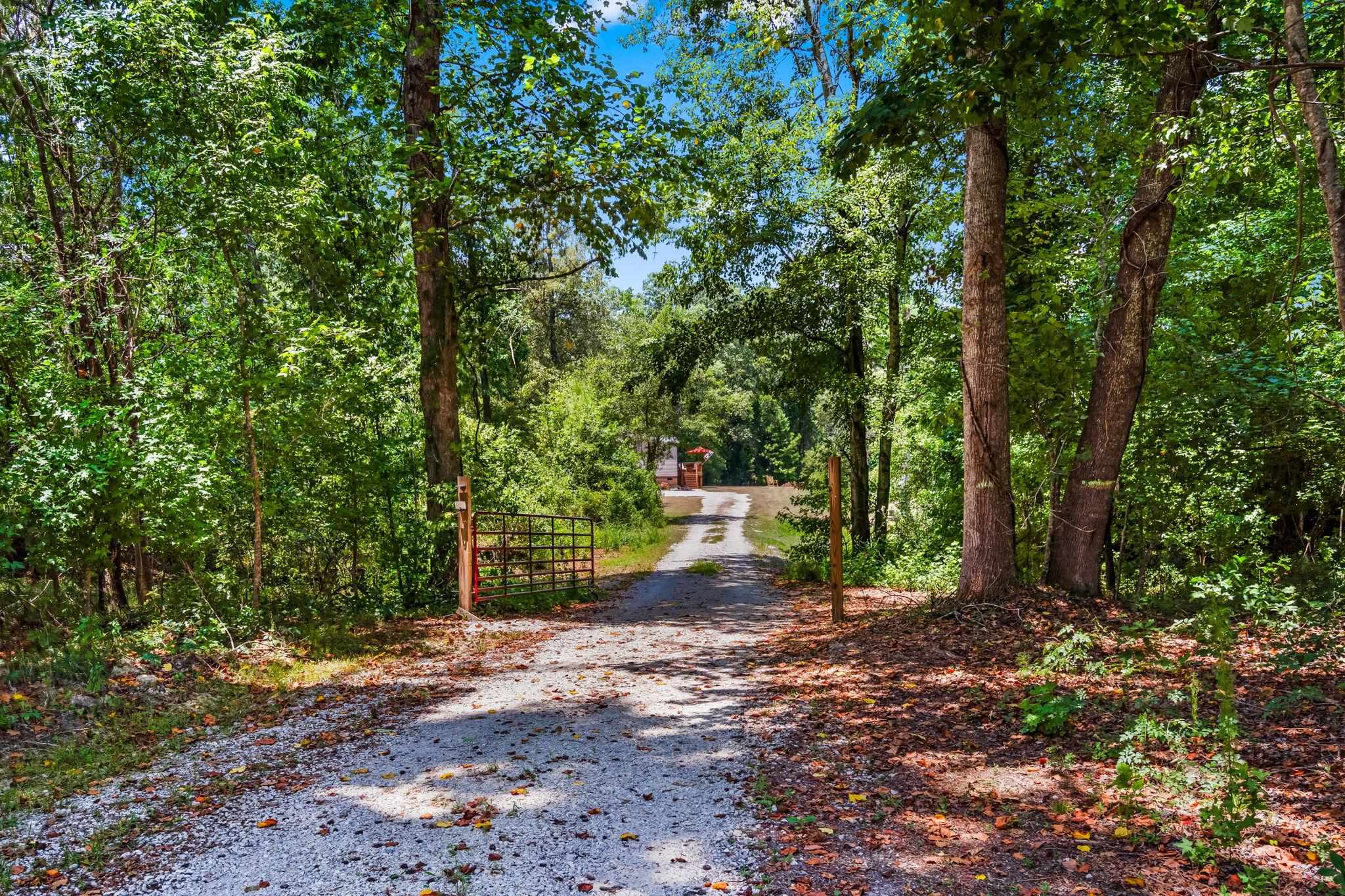 2463 Hanna Lake Road Johnsonville, SC 29555 - Photo 2 of 63