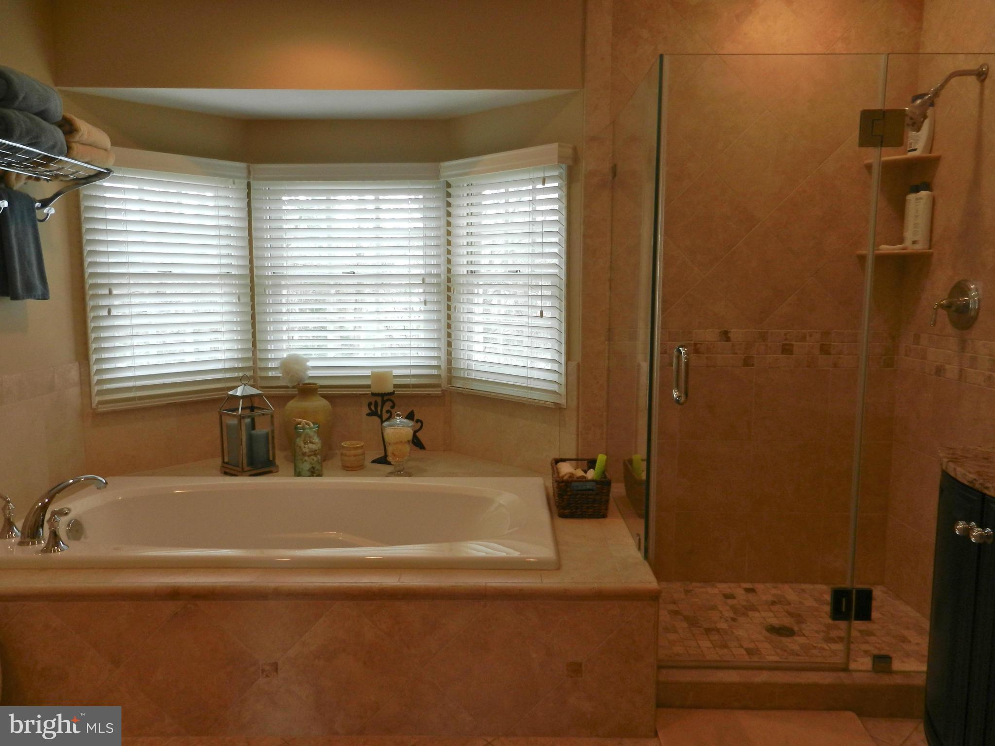 6366 Lee Forest Path Centreville, VA 20120 - Photo 24 of 30 Bath (Master)